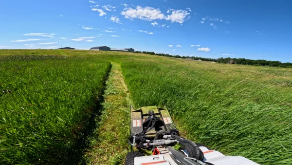 Quick Attach Industrial Mini Skid Steer Brush Cutter, Brush Mower